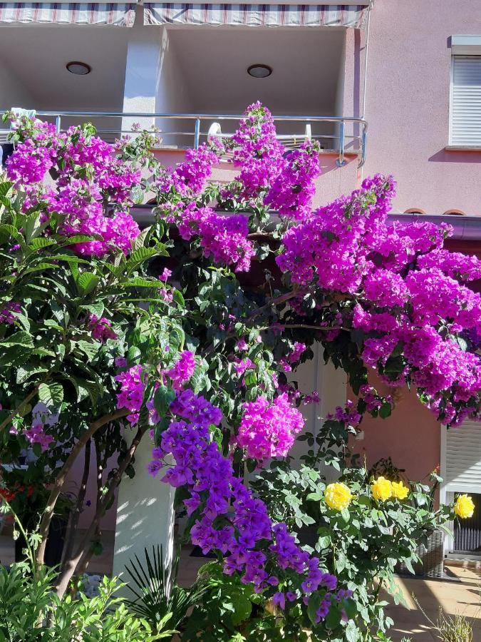 Apartments Ulika Rovinj Exterior photo
